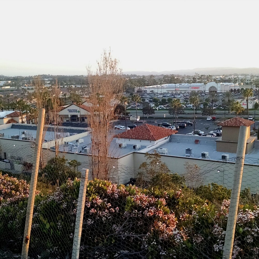 Borrego Park - View at the southwest corner - Parks Near Me - Foothill Ranch, California Borrego Park - View at the southwest corner - Parks Near Me - Foothill Ranch, California