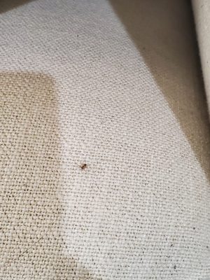 Crate & Barrel by null