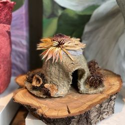 Terra Gallery & Creative Studio