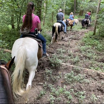 Davy Crockett Riding Stables - Group ride! - Horseback Riding Near Me - Townsend, Tennessee Davy Crockett Riding Stables - Group ride! - Horseback Riding Near Me - Townsend, Tennessee
