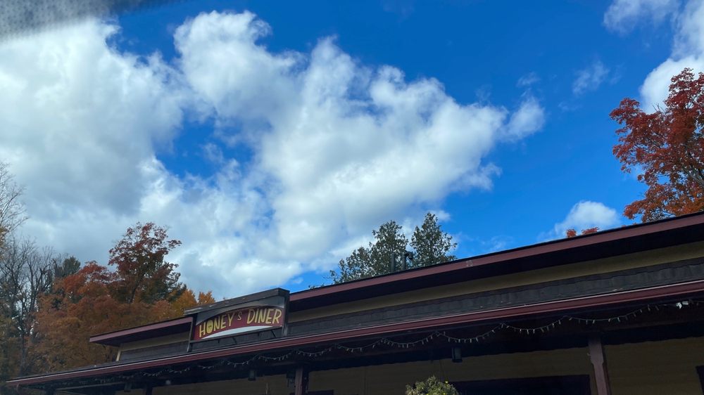 HONEY’S DINER Updated August 2024 11 Reviews 5584 Highway 28