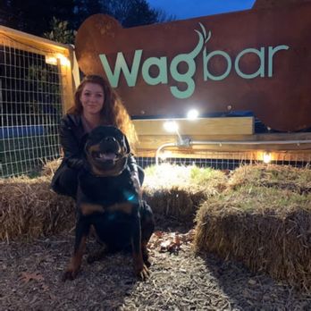 Wagbar - Dog Parks Near Me - Weaverville, North Carolina