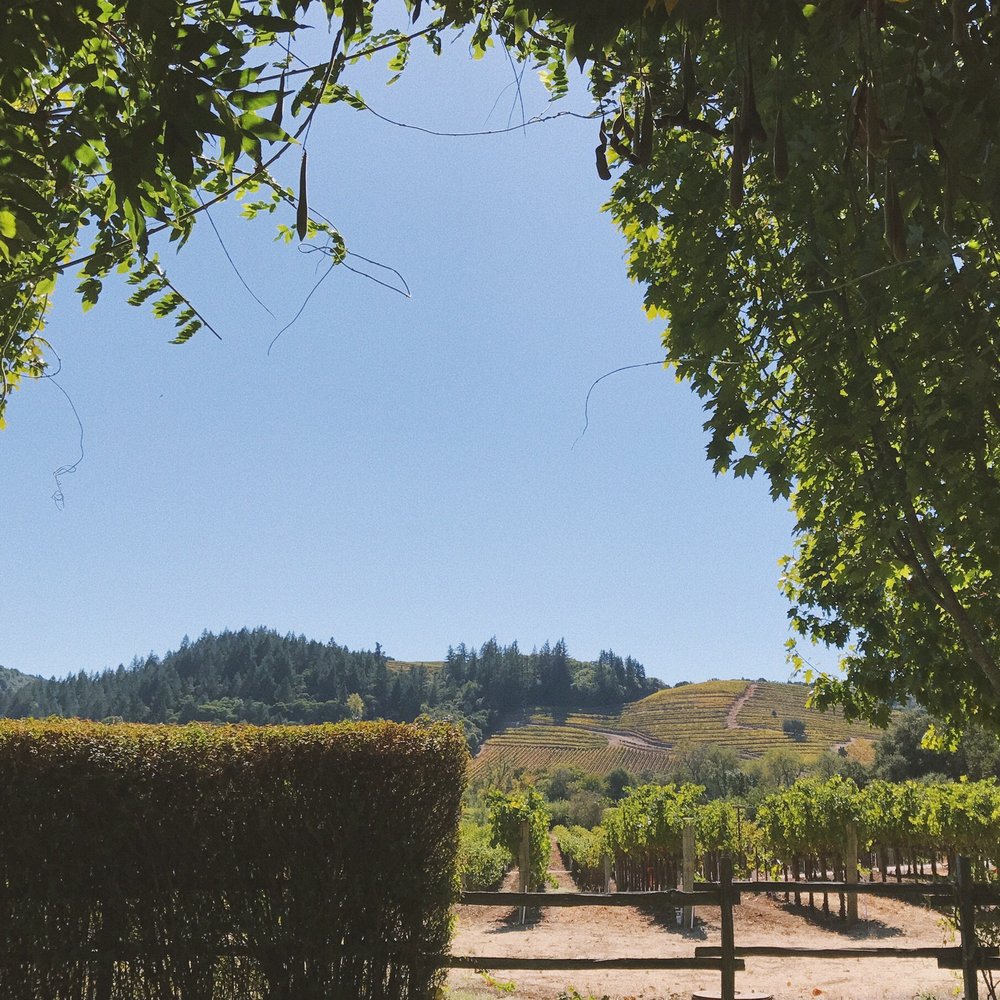 Dutcher Crossing Winery - views - Wineries Near Me - Geyserville, California Dutcher Crossing Winery - views - Wineries Near Me - Geyserville, California