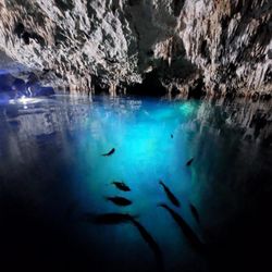Living Dreams Mexico