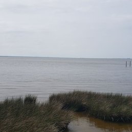 View from the boardwalk