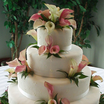 Mitch's Flowers by null