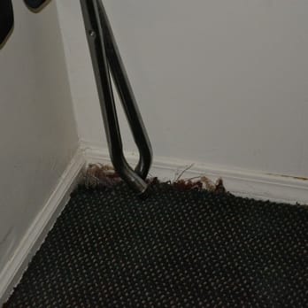 Travelodge - carpet was dirty and ripped up - Rest Stops Near Me - Flagstaff, Arizona Travelodge - carpet was dirty and ripped up - Rest Stops Near Me - Flagstaff, Arizona