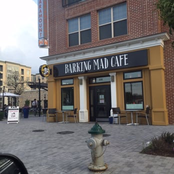Barking Mad Cafe - Outside! Parking in the street. Live band on the side playing for the outdoor seating - Coffee & Tea Near Me - Gaithersburg, Maryland