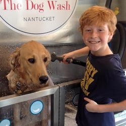 The Dog Wash