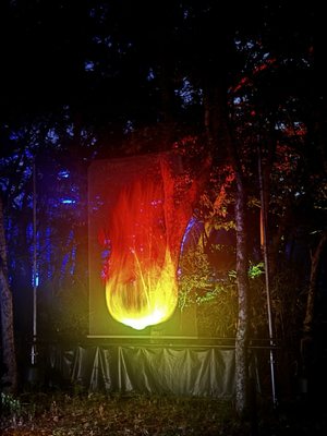 teamLab Botanical Garden Osaka by null