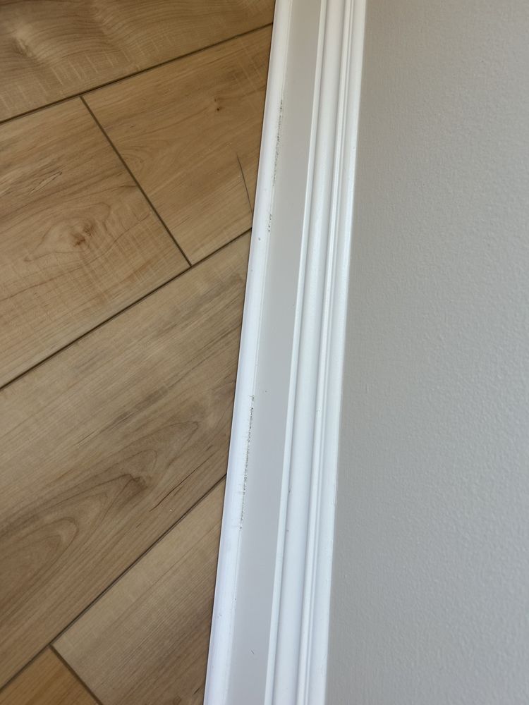 Slide of Face and Dream