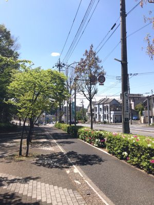 ニトリ港北ニュータウン店 Furniture Stores 都筑区あゆみが丘19 7 横浜市 神奈川県 Japan Phone Number Yelp