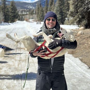 The Mushing Mutts - Sledding Near Me - Ohio City, Colorado