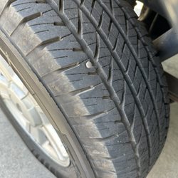 Mosley Tire
