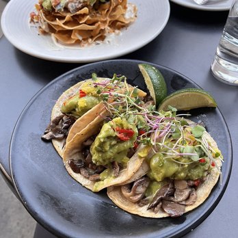 PlantMade - Wild Mushroom Carnitas - Mexican Near Me - New York, New York