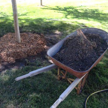 Arbor Hill Tree Farm Tree Services 6520 Keats Ave S Cottage