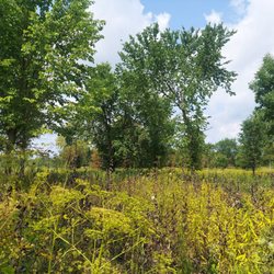 Havenwoods State Forest