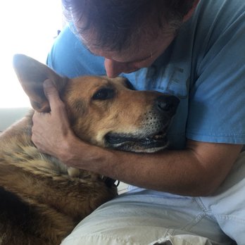 1st Pet Veterinary Centers - Saying goodbye... - Veterinarians Near Me - Mesa, Arizona