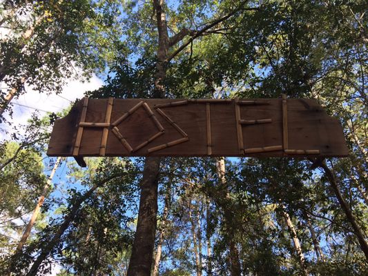 Hostel In the Forest by null