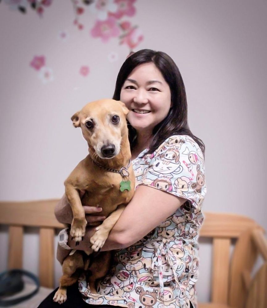 WAIPIO PET CLINIC Updated August 2024 48 Photos & 72 Reviews 94