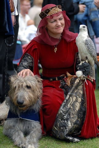 Mittelalterliches Spectaculum