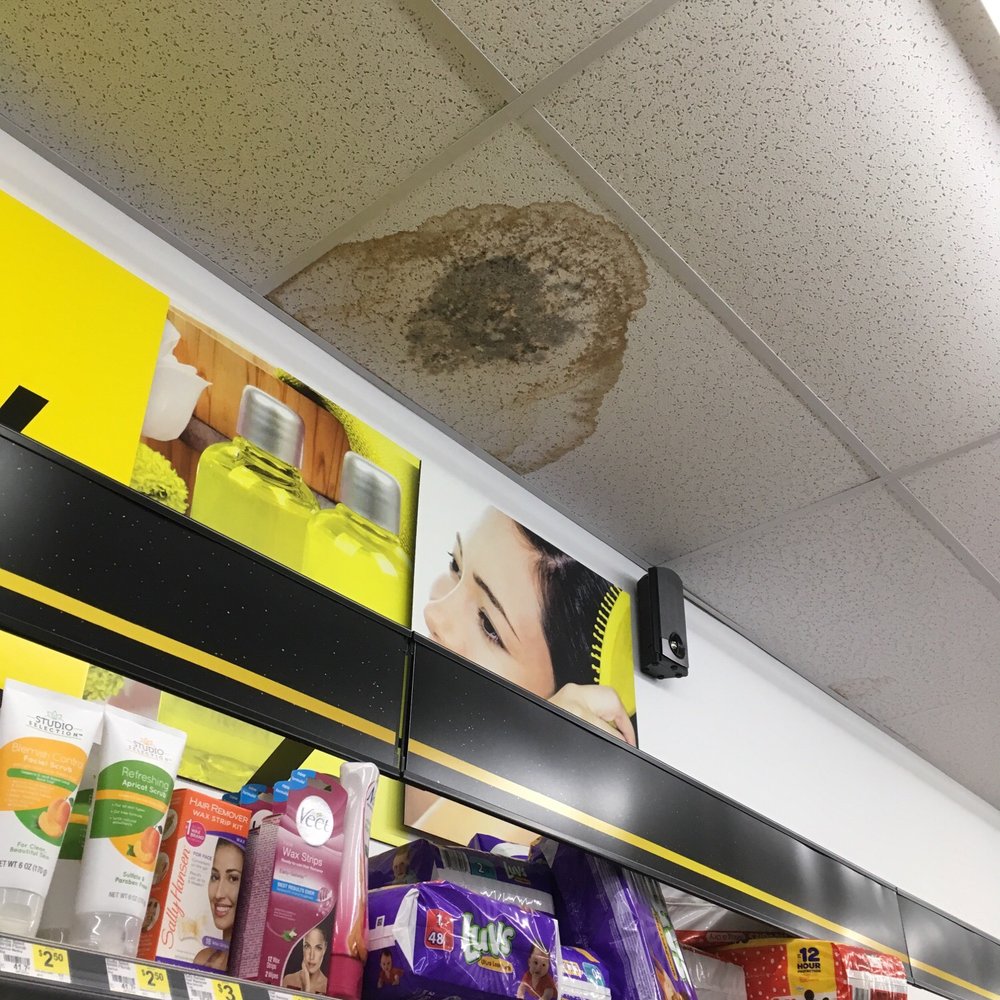 Dollar General - Black mold on ceiling tile. - Discount Store Near Me - Converse, Texas