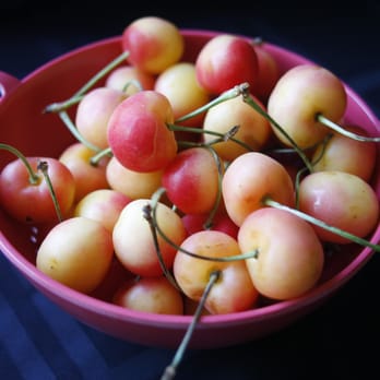 Everett Farmers Market - Rainier cherries, $5.99 per pound. Paid with cash. - Farmers Market Near Me - Everett, Washington