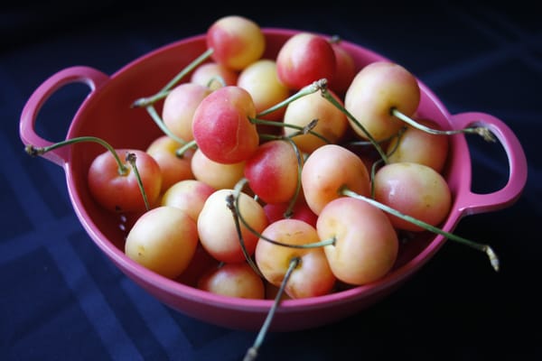 The Everett Farmers Market by null