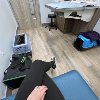 Aloha Veterinary Hospital - Easy for me and my three cats. The size of the room and the cushioned seat was certainly nice! - Veterinarians Near Me - Brea, California Aloha Veterinary Hospital - Easy for me and my three cats. The size of the room and the cushioned seat was certainly nice! - Veterinarians Near Me - Brea, California