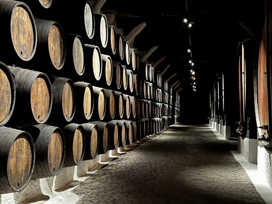 Sandeman by null