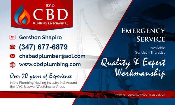 CBD Plumbing Logo