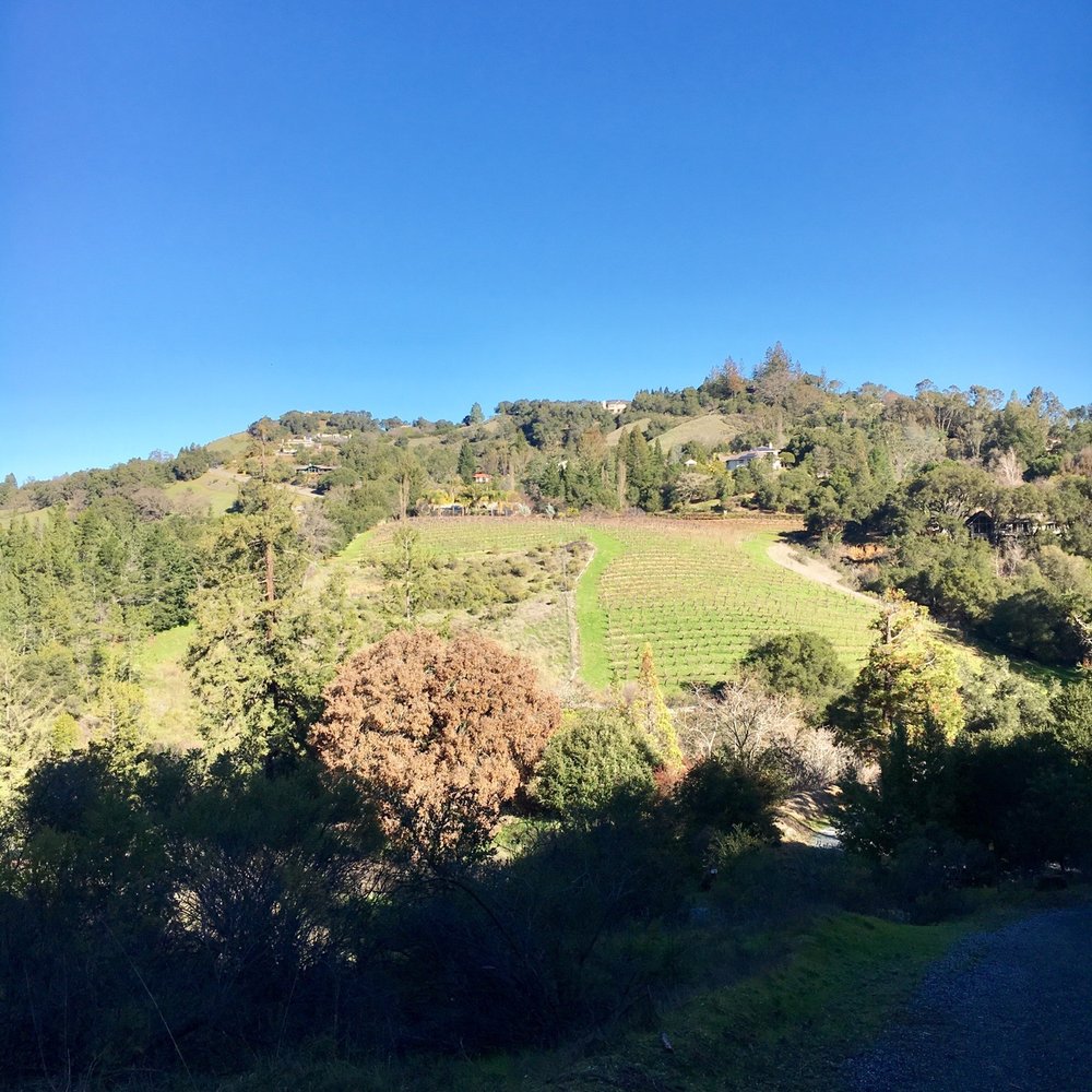 Saratoga Quarry Park - Winery view - Parks Near Me - Saratoga, California