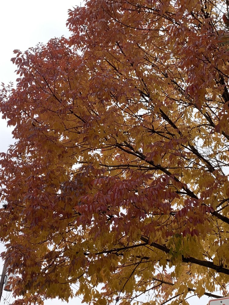 ALLERGY & IMMUNOLOGY ASSOCIATES OF TEANECK AND RIVER EDGE, P.A Updated August 2024 63 Grand