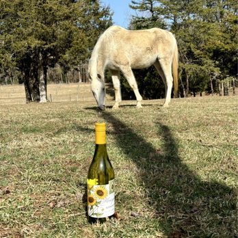 Grayhaven Winery - Can't beat this scenery - Wineries Near Me - Gum Spring, Virginia Grayhaven Winery - Can't beat this scenery - Wineries Near Me - Gum Spring, Virginia
