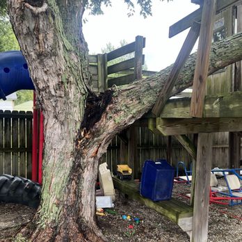 Nevers Tree Service - Tree Services Near Me Nevers Tree Service - Tree Services Near Me