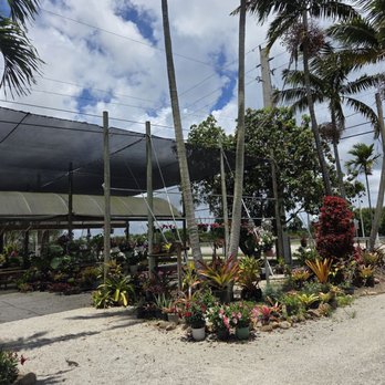 A Heavenly Garden - Nurseries & Gardening Near Me - Miami, Florida