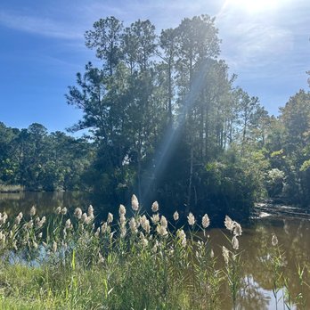 Laurel Hill County Park - Ponds within the Park - Parks Near Me - Mount Pleasant, South Carolina