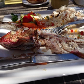 La Roca - Grilled Red Snapper, after (meow!) - Seafood Near Me - Cabo San Lucas, BCS La Roca - Grilled Red Snapper, after (meow!) - Seafood Near Me - Cabo San Lucas, BCS