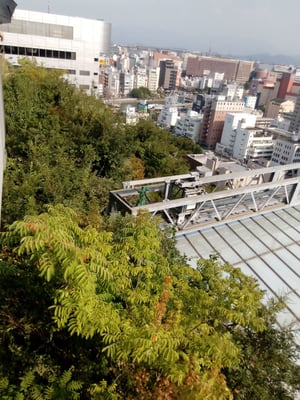 Acros Fukuoka by null