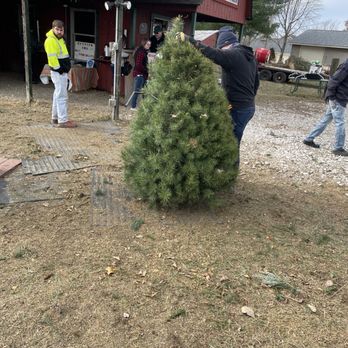 Jay's Tree Farm - Christmas Trees Near Me - Mooresville, Indiana Jay's Tree Farm - Christmas Trees Near Me - Mooresville, Indiana