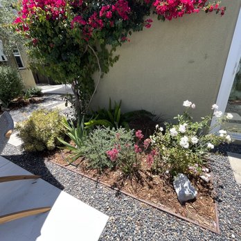 Celtic Nature Landscape Design - One year later - Landscaping Near Me Celtic Nature Landscape Design - One year later - Landscaping Near Me