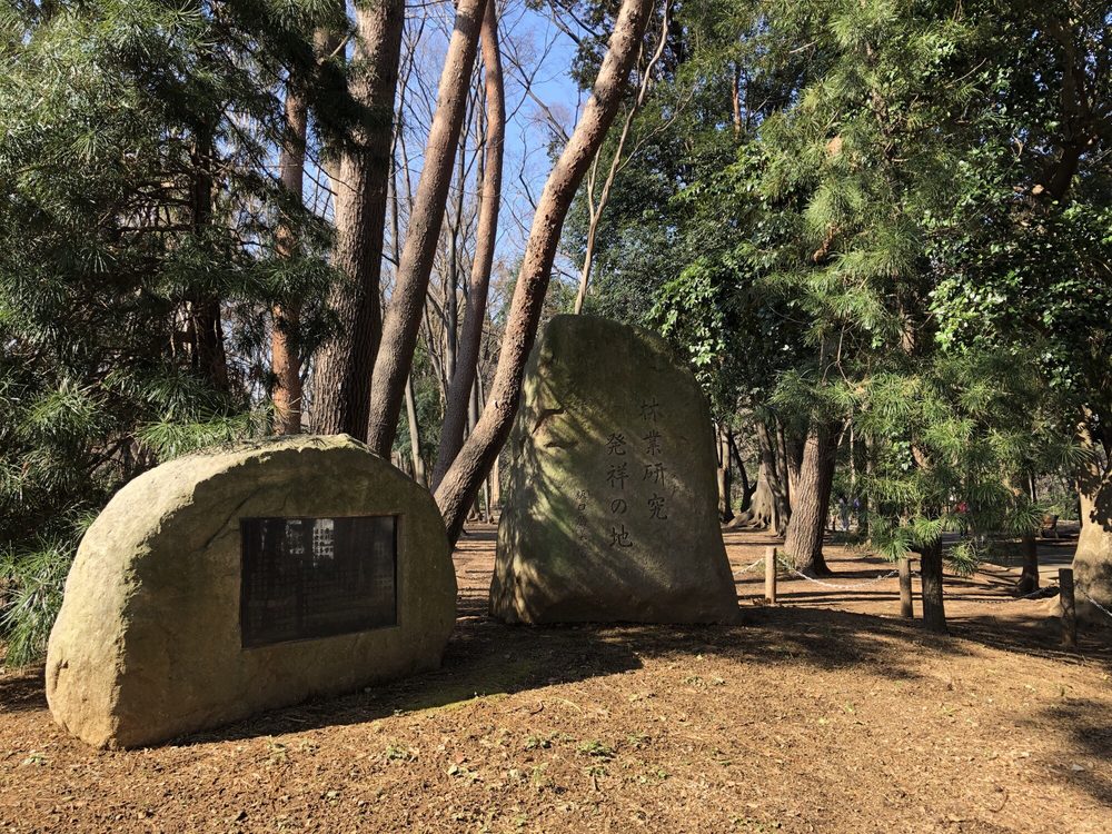 Rinshi-no-Mori Park