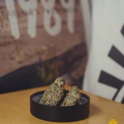 Green Solutions - The perfect pairing: toking and tunes
