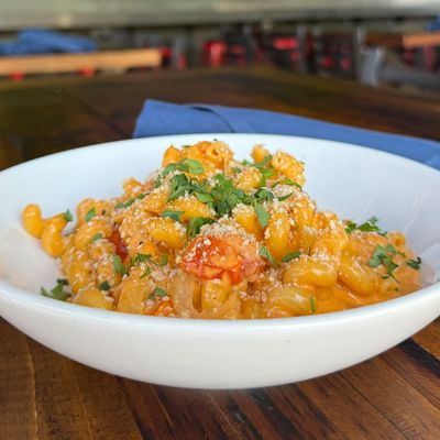 Boulder Social by null