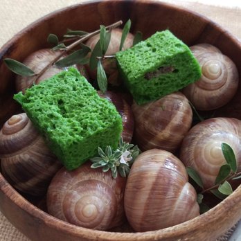 Cottage Point Inn - Escargot sponge - Restaurants Near Me - Cottage Point, NSW