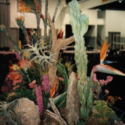 Amy's Little Plant Co