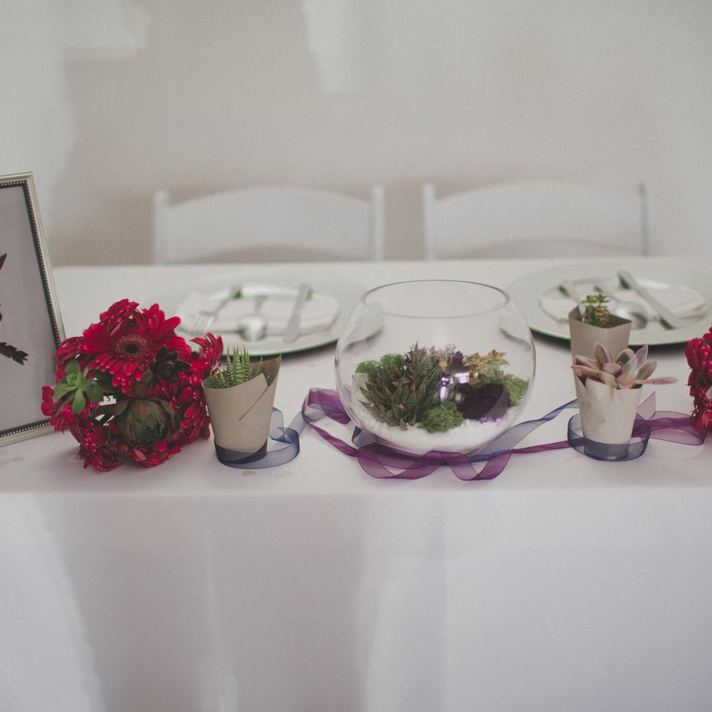Queen Bee's - Tables, linens and chairs for our wedding recepti by Queen Bee's. Terrariums by Britton out of Pigment. Bouquet by yours truly. - Venues & Event Spaces Near Me - San Diego, California Queen Bee's - Tables, linens and chairs for our wedding recepti by Queen Bee's. Terrariums by Britton out of Pigment. Bouquet by yours truly. - Venues & Event Spaces Near Me - San Diego, California
