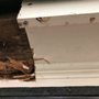 Photo of Summit Roofing