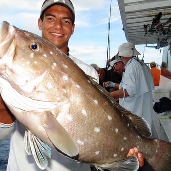 Hubbard's Marina - Beautiful snowy grouper caught aboard our long range 63 hour deep drop pelagic trip at Hubbard's Marina  http://HubbardsMarina.com - Boating Near Me - Madeira Beach, Florida