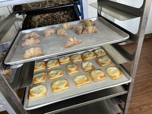 La Moreliana by null